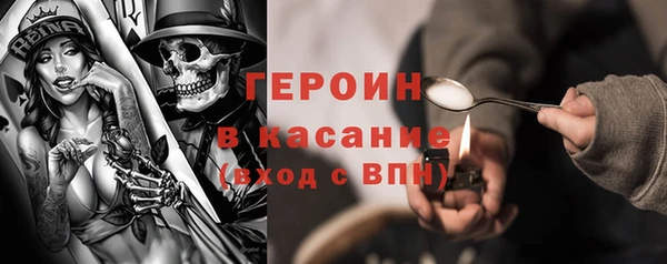 индика Инта