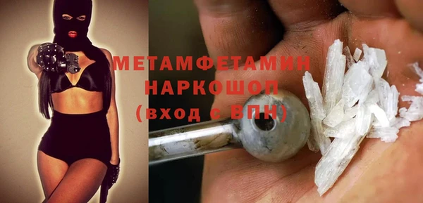 индика Инта