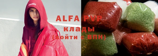 индика Инта