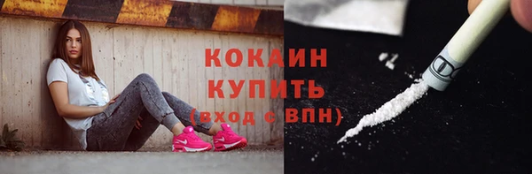 мет Инсар