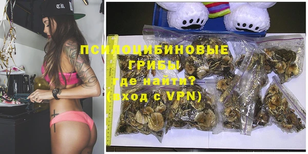 молекула духа Новосибирск
