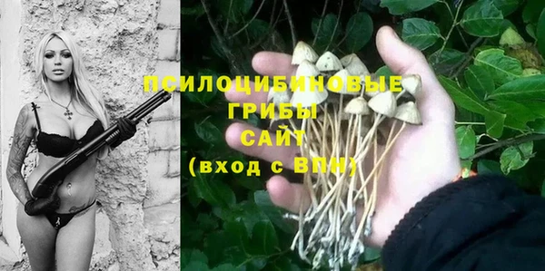 индика Инта