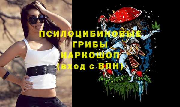 марки nbome Ессентукская