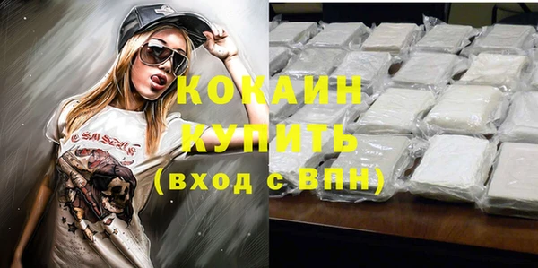 молекула духа Новосибирск