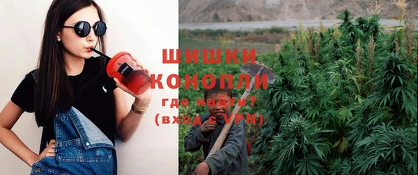 индика Инта