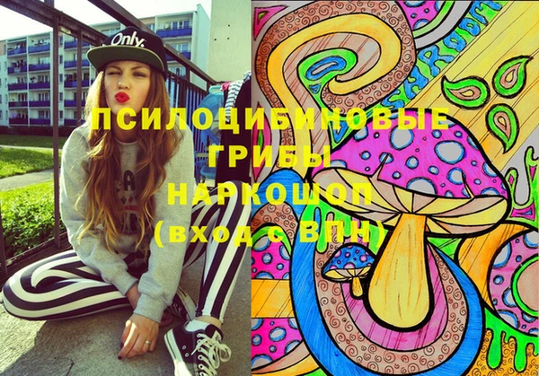 марки nbome Ессентукская