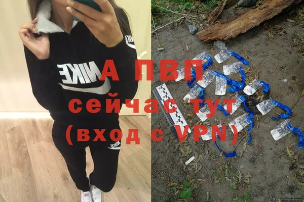 молекула духа Новосибирск