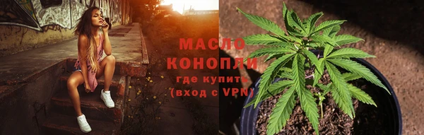молекула духа Новосибирск