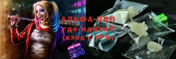 индика Инта