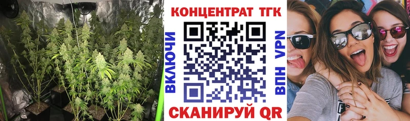 закладка  Ужур  ТГК вейп 