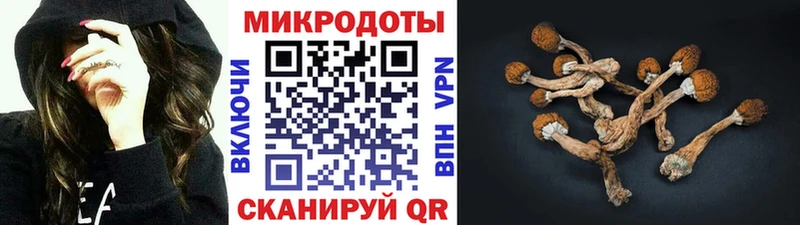 это клад  Ужур  Псилоцибиновые грибы ЛСД 